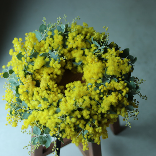 ボリュームたっぷり 大きな35cm フレッシュミモザ リース 1月より発送