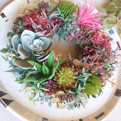 多肉植物》＊セダムのリース.red mix＊080＊ 多肉植物 yannn 通販