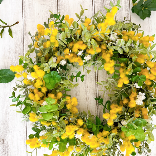 ミモザリース ミモザ フラワリース 玄関飾り 春リース リース