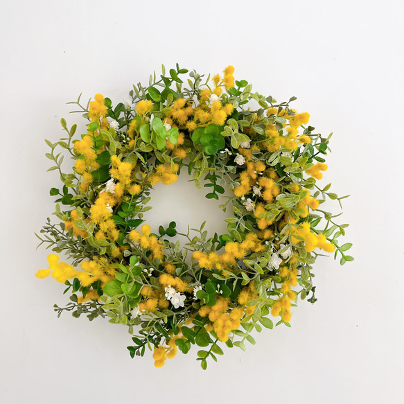 ミモザリース ミモザ フラワリース 玄関飾り 春リース リース