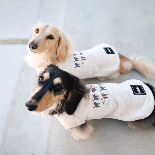 ダックスフンド　 オーダー受付ページ④ 犬の服　犬服　わんこ　ダックス ダックスフンド オーダー受付ページ④ 犬の服 犬服 わんこ ミニチュア