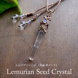 a353240c95395faa4e9255390708e6