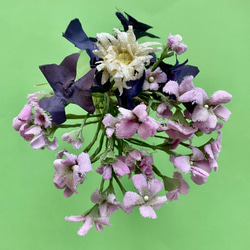 presents from spring F 3枚目の画像