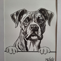 85974e0d0860fa95505f088fa9dcbe