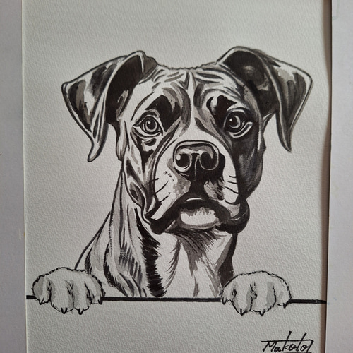 水墨画 Boxer 絵画 makochin 通販 18874517｜Creema(クリーマ)