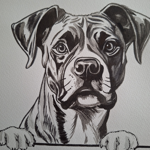 【水墨画】愛犬の似顔絵承ります✏️ 犬と猫の肖像画描きます 水墨画で肖像画を残しましょう。墨は