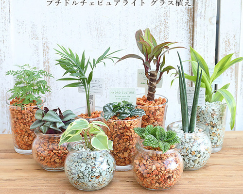 ゆとり炉 フレンチブルドッグ ブローチ 陶芸 陶器 ブヒ