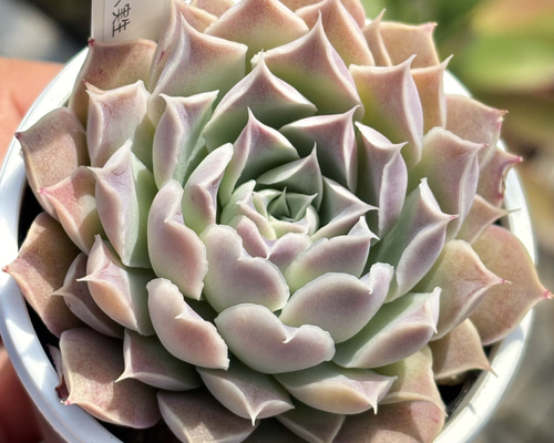 30a524bbd23f95e7b07a996f212c19