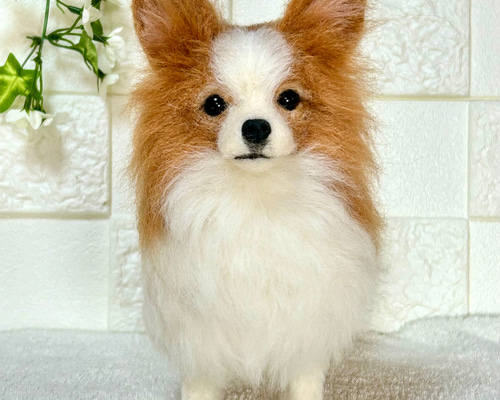 a3c03af3707581c510b33d1d5d50f8