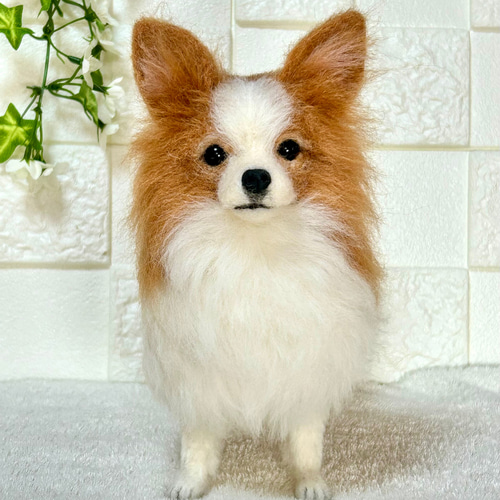 ☆羊毛フェルト☆【オーダーメイド】☆ハンドメイド☆リアル☆パピヨン