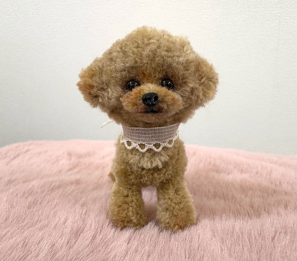 モールドール トイプードルアプリコット プードルアプリコット