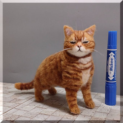 羊毛フェルト 猫 額入り アメリカンショートヘア 子猫 ねこ ネコ 羊毛フェルト 猫 額入り アメリカンショートヘア 子猫 ねこ ネコ