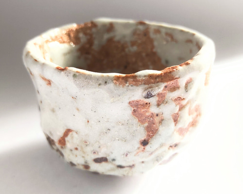 e1b900a9ca9ad9ffe711b50478bc0c