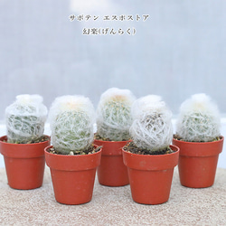 1b2224cecd3244f2421e738b290bca