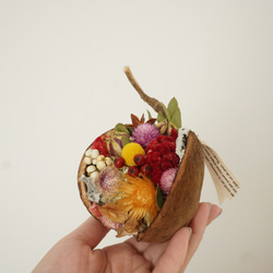 あゆたんさま❀麻布くしゅくしゅリース❀ドライフラワー❀木の実 幸せを呼ぶ実 ブッダナッツ 〝森カフェ〟 ミニサイズ ドライフラワー