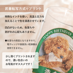 【名入れ・写真プリント無料】 ビールジョッキ フレームデザイン 父の日 beermug008-framephoto 4枚目の画像