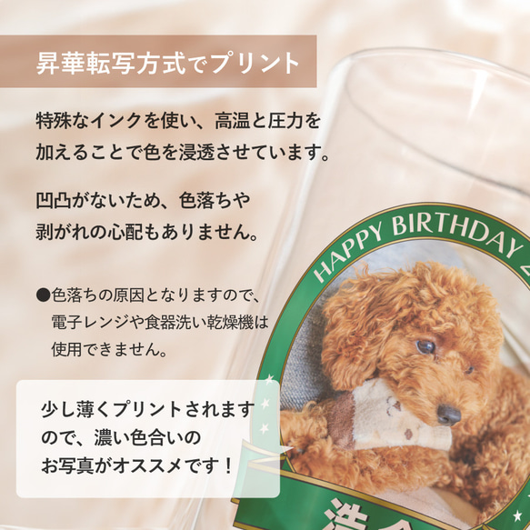 【名入れ・写真プリント無料】 ビールジョッキ フレームデザイン 父の日 beermug008-framephoto 4枚目の画像