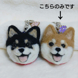 とも様確認用ページ タペストリー キーホルダー 羊毛フェルト ハンドメイド ちびころことりーず 羊毛フェルト オリジナル小鳥マスコット チャーム