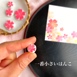 ５種の桜はんこ詰め合わせセット（3月4月の消しゴムはんこ） 6枚目の画像