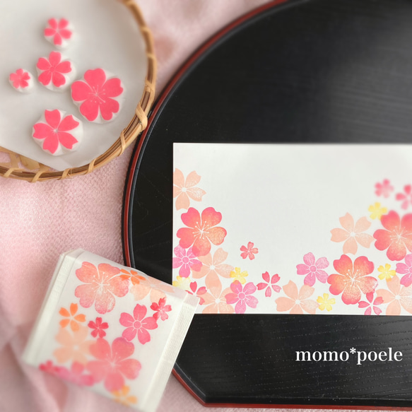 ５種の桜はんこ詰め合わせセット（3月4月の消しゴムはんこ） 1枚目の画像