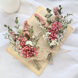 多肉植物寄せ植え そのまま飾れます 多肉植物 はなちかちゃん 通販