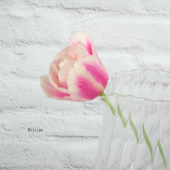 枯れない 小さめ ミニ チューリップ ✿クレイフラワーNO.GT7-P3 アート