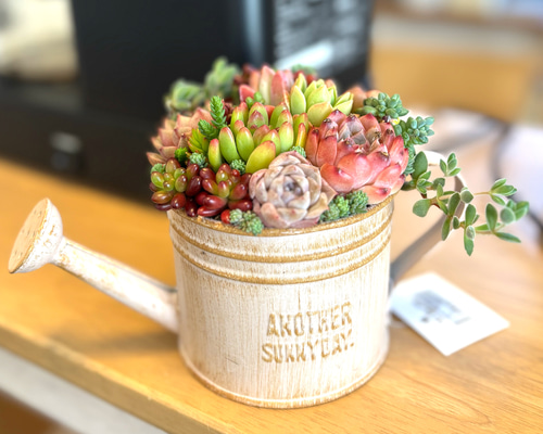 ★多肉植物　寄せ植え〜ブリキピック寄せ〜そのまま飾れます(*≧∀≦*)★ 母の日 可愛い寄せ植え 多肉植物 寄せ植え ブリキポット サンドピンク