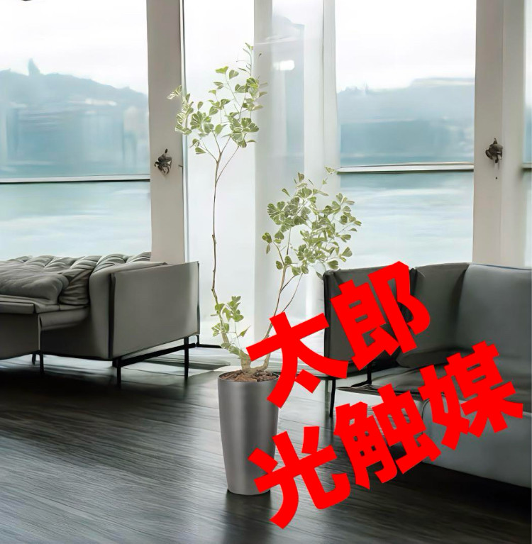 光触媒　人工観葉植物　ウォールグリーン　フェイクグリーン　スリムフィカストライアングル