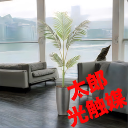 光触媒 人工観葉植物 フェイクグリーン スリムフレッシュパーム1.55