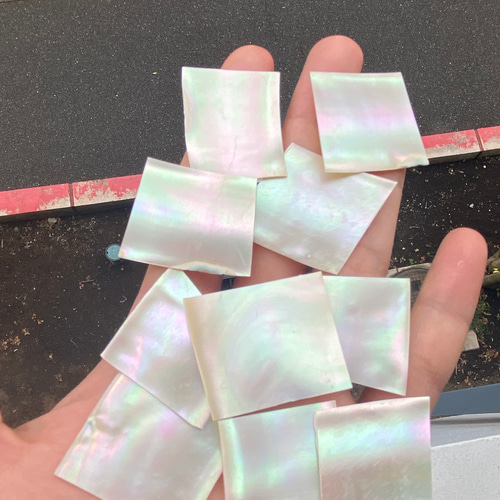 【SALE】 夜光貝 スライス 10枚セット 厚み0,5ミリ 螺鈿細工 ハンドメイド アンティーク雑貨