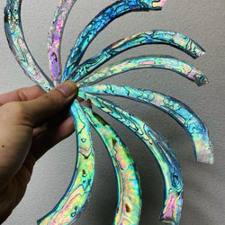 アワビ貝　沖縄県のアワビ貝　15枚セット　螺鈿細工　ハンドメイド　素材 螺鈿（らでん) あわび 青貝粉、大小セット（薄貝の破片）各4