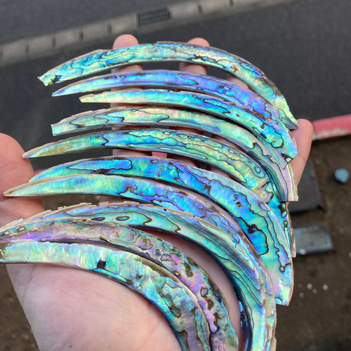 ニュージーランドアワビ貝 10枚セット 12cm程度 螺鈿細工 ハンド