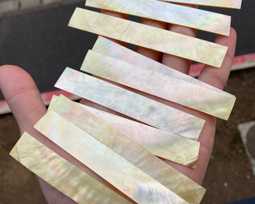 白蝶貝 10枚セット 横1、5cm 長さ9-10cm前後 厚み1mm 螺鈿細工