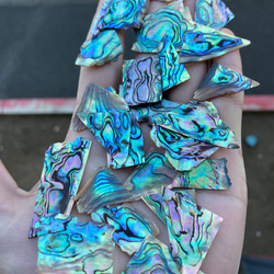 アワビ貝 アバロン貝 20枚セット 螺鈿細工 ハンドメイド ハンド