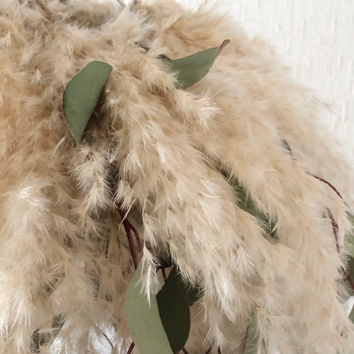 特価】パンパスグラス ユーカリ フライングリース 34～38cm