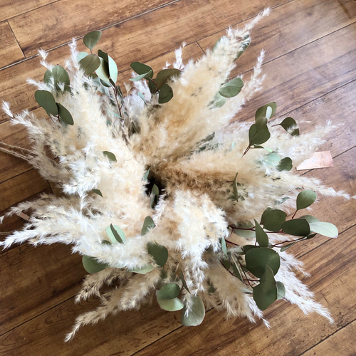 特価】パンパスグラス ユーカリ フライングリース 34～38cm