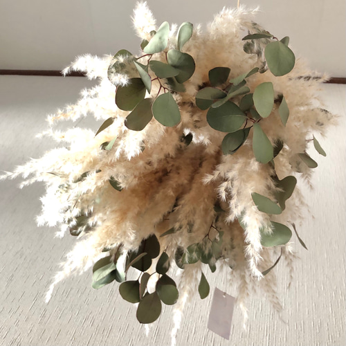 特価】パンパスグラス ユーカリ フライングリース 34～38cm