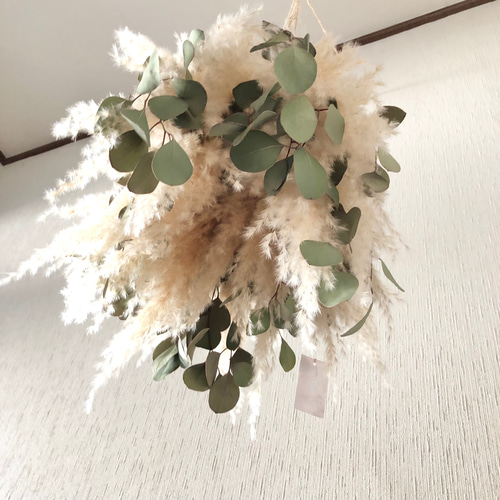 特価】パンパスグラス ユーカリ フライングリース 34～38cm