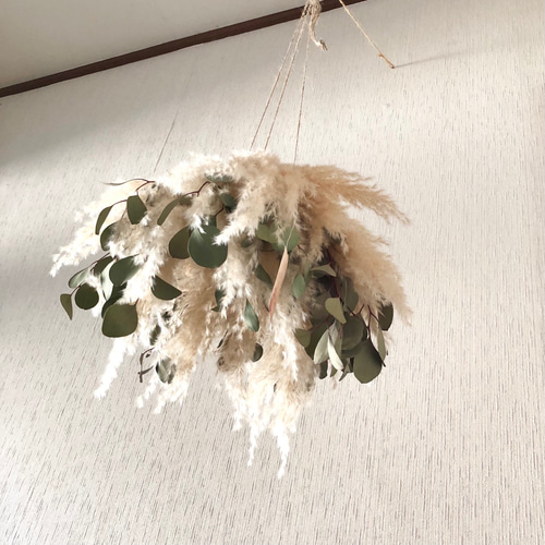 ユーカリ　フライングリース 特価】パンパスグラス ユーカリ フライングリース 34～38cm