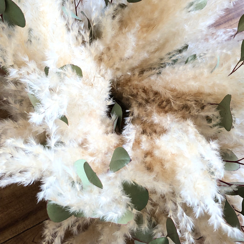 特価】パンパスグラス ユーカリ フライングリース 34～38cm