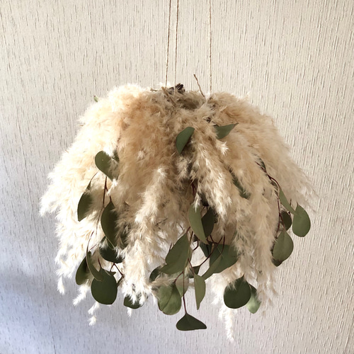 特価】パンパスグラス ユーカリ フライングリース 34～38cm