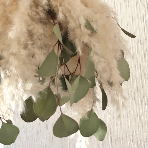 特価】パンパスグラス ユーカリ フライングリース 34～38cm