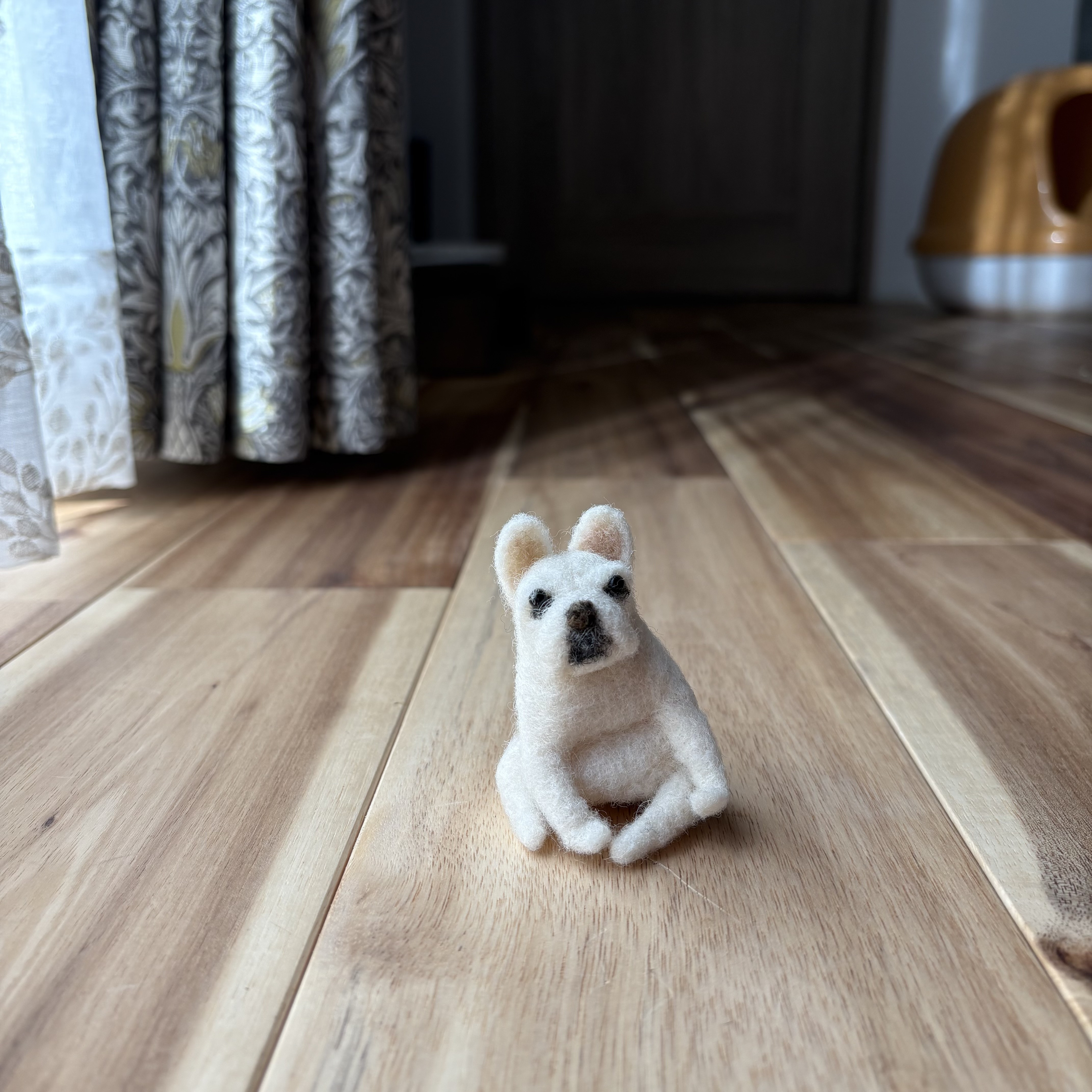 ミニミニフレンチブルドッグ