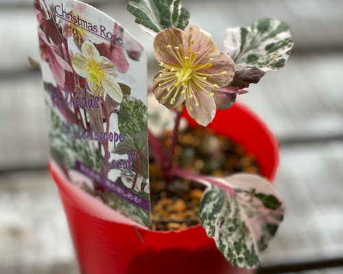 a07a5990fa65a3e0709d4437e2e45d