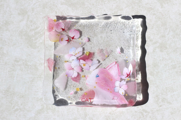 ✨ピンク猫金色花吹雪桜硝子角皿✨ガラス皿✨敬老の日✨誕生日