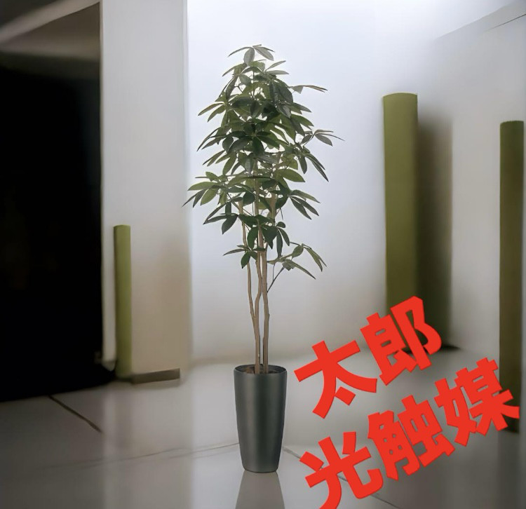 光触媒　人工観葉植物　ウォールグリーン　フェイクグリーン　スリムパキラ1.8