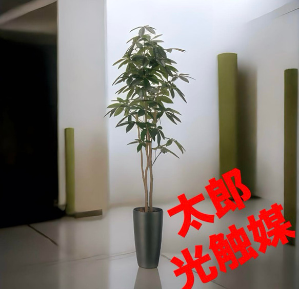 光触媒　人工観葉植物　ウォールグリーン　フェイクグリーン　スリムパキラ1.8 光触媒 人工観葉植物 ウォールグリーン フェイクグリーン スリムパキラ