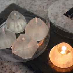 貝殻標本（蓋付き） その他インテリア雑貨 tayutaw 通販 14464624