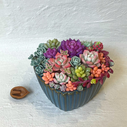 ぷくぷく多肉♡ 乙女心、木箱、樹脂粘土、寄せ植え その他インテリア