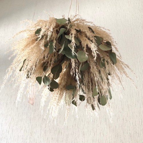 パンパスグラス ユーカリ フライングリース 34～38cm ＊ ピンク